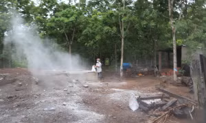 Huyện đầu tiên của Bình Phước công bố dịch tả lợn châu Phi