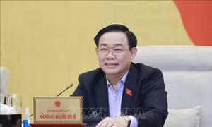 Cần đánh giá rõ việc huy động, quản lý, sử dụng các nguồn lực phục vụ công tác phòng, chống dịch COVID-19