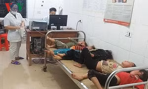 7 người bị ong đốt phải nhập viện, 4 cháu nhỏ hôn mê