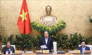 Triển khai ngay giải pháp giảm tác động kinh tế của nCoV; Chủ động cách ly nhằm dập dịch dứt khoát