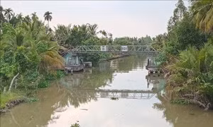 Phòng chống hạn mặn ở Đồng bằng sông Cửu Long - Bài cuối: Hiệu quả từ việc chủ động