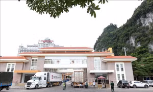 100% xe hàng xuất nhập khẩu qua cửa khẩu Tân Thanh và Hữu Nghị đã thực hiện khai báo trực tuyến
