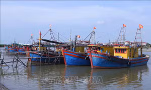 Ứng phó với bão số 3: Chủ động sơ tán người dân vùng nguy cơ