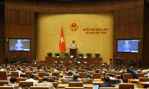 Kỳ họp thứ 8, Quốc hội khóa XIV: Thông cáo báo chí số 19