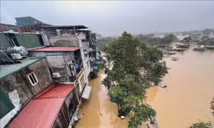 Khẩn trương chống lũ tại các xã ven sông Tích, sông Đáy ở huyện Quốc Oai (Hà Nội)