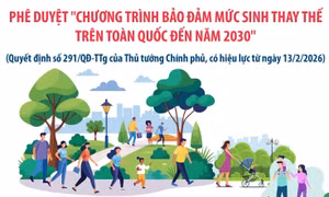 Phê duyệt 'Chương trình Bảo đảm mức sinh thay thế trên toàn quốc đến năm 2030'