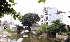 Hải Dương tập trung xử lý vi phạm công trình thủy lợi
