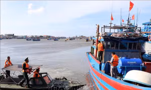 Khánh Hòa thực hiện nghiêm 4 nhóm vấn đề về chống khai thác IUU