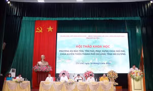Tìm phương án bảo tồn, tôn tạo chùa Huyền Thiên và chùa Ngũ Đài