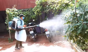 Bệnh sốt xuất huyết tiếp tục diễn biến phức tạp tại Bình Thuận