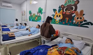 Điều trị theo phác đồ nhiễm trùng, nhiễm độc đường tiêu hóa do Salmonella Group