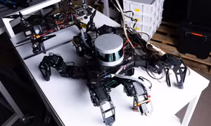 Các nhà khoa học Australia chế tạo robot có não dựa trên đặc tính của côn trùng