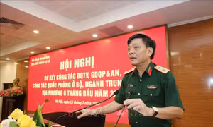 Chú trọng xây dựng lực lượng dân quân thường trực, Dân quân tự vệ cơ động