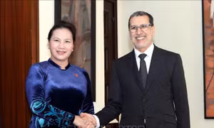 Tăng cường quan hệ kinh tế, văn hóa giữa Việt Nam - Maroc