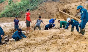 Sạt lở tại Phước Sơn, Quảng Nam: Đã tìm thấy 5 thi thể