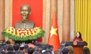 Phó Chủ tịch nước gặp mặt đại biểu tham gia Diễn đàn Trí thức trẻ Việt Nam toàn cầu