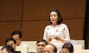 Bên lề Quốc hội: Cần gỡ khó hiệu quả hơn nữa để trở lại nhịp sống trước đại dịch