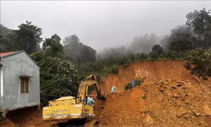 Vụ sạt lở nghiêm trọng tại đèo Bảo Lộc: Vườn sầu riêng có một phần đất rừng