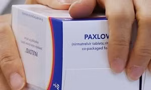  EMA 'bật đèn xanh' cho thuốc điều trị Paxlovid của Pfizer