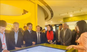 Khai mạc trưng bày 'Long Mã khai văn' chào xuân Bính Ngọ 2026