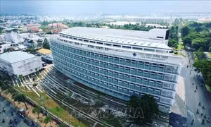Thúc đẩy phát triển toàn diện, bền vững Đồng bằng sông Cửu Long