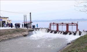 Phê duyệt Chiến lược thủy lợi Việt Nam đến năm 2030, tầm nhìn đến năm 2045