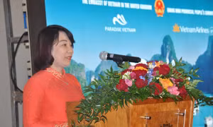 Quảng Ninh đẩy mạnh xúc tiến quảng bá du lịch tại Anh