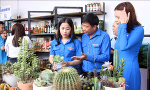 Ra mắt dịch vụ kết nối, tiêu thụ sản phẩm khởi nghiệp của thanh niên ĐBSCL