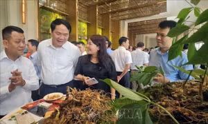 Tư duy kinh tế nông nghiệp bền vững - Bài 1: Bước chuyển nông nghiệp vùng