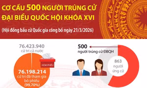 Cơ cấu 500 người trúng cử Đại biểu Quốc hội khóa XVI
