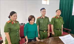Khởi tố một giám đốc làm giả con dấu, tài liệu của cơ quan, tổ chức