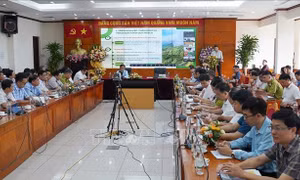 Công bố Quy hoạch lâm nghiệp quốc gia