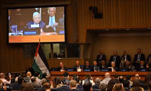 Nhiều tổ chức quốc tế ủng hộ giải pháp hai nhà nước cho xung đột Israel - Palestine