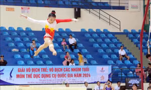120 vận động viên tranh tài ở môn thể dục dụng cụ quy mô quốc gia