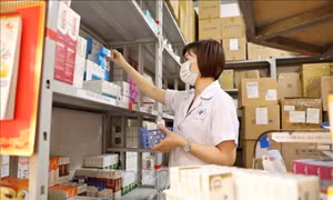 Bộ Y tế thúc đẩy chuyển đổi số, tăng cường quản lý thuốc kiểm soát đặc biệt
