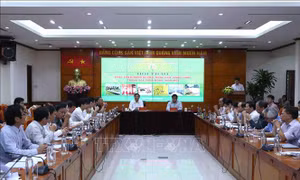 Nhận diện những thách thức để phát triển và xây dựng nông thôn mới