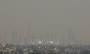 Thuế khí thải - công cụ hữu hiệu làm chậm lại tình trạng trái đất ấm lên