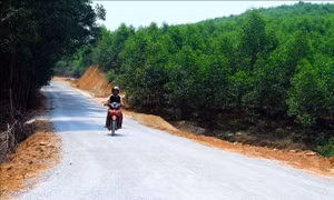 Cơ hội phát triển toàn diện vùng miền núi Quảng Bình - Bài 1: Vùng đồng bào dân tộc thiểu số khởi sắc