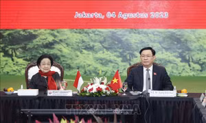 Chủ tịch Quốc hội Vương Đình Huệ hội kiến Chủ tịch đảng Dân chủ Indonesia Đấu tranh