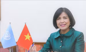 Việt Nam thúc đẩy sự tham gia tích cực của các nước ASEAN tại các tổ chức quốc tế 