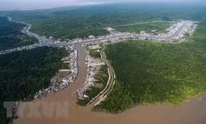 Chung tay bảo tồn hệ sinh thái các vùng đất ngập nước