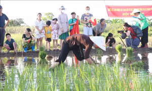 Rộn ràng Lễ hội xuống đồng của ngư dân sông nước Bạch Đằng