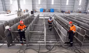 Chỉ số sản xuất công nghiệp tăng ở 55 địa phương