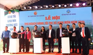 Lễ hội thu hoạch hành, tỏi nâng tầm thương hiệu nông sản Kinh Môn