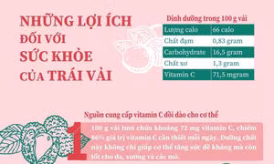 Những lợi ích không ngờ của trái vải đối với sức khỏe 
