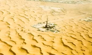 Tổ quốc trong tim những người con Việt nơi sa mạc Sahara