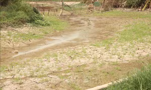 El Nino đạt cường độ mạnh đến rất mạnh - cần kịp thời ứng phó