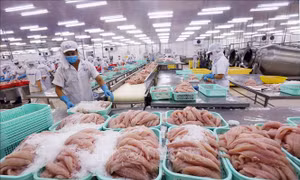 Hiệp định EVFTA: Bảo đảm chất lượng hàng hóa để 'vượt rào'