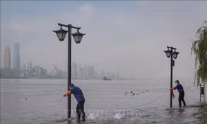 Sạt lở đất tạo một hồ chắn trên sông ở Hồ Bắc, Trung Quốc