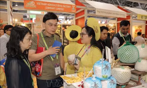 Trái cây Việt Nam khẳng định vững chắc thương hiệu trên thị trường quốc tế